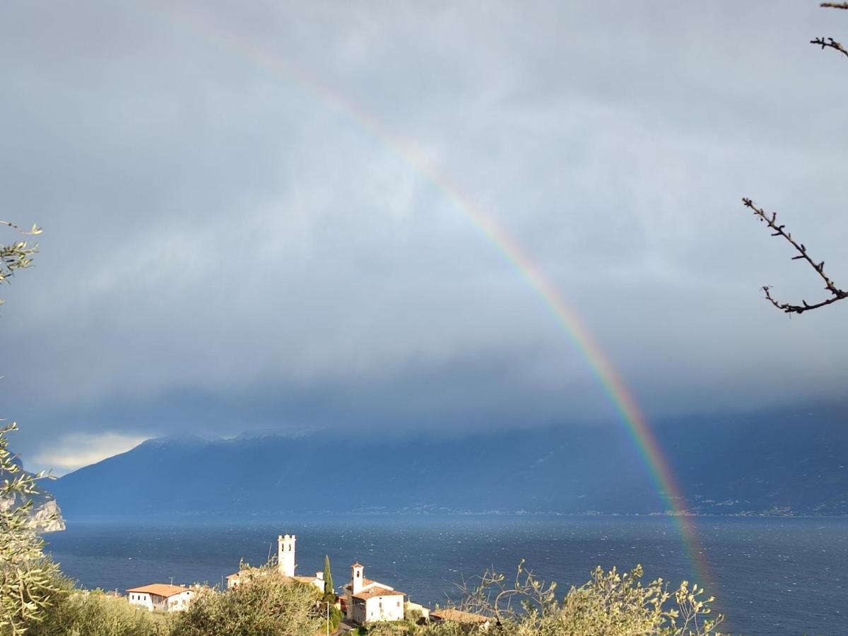 Agriturismo L'Uliveto 加尔尼亚诺 客房 照片