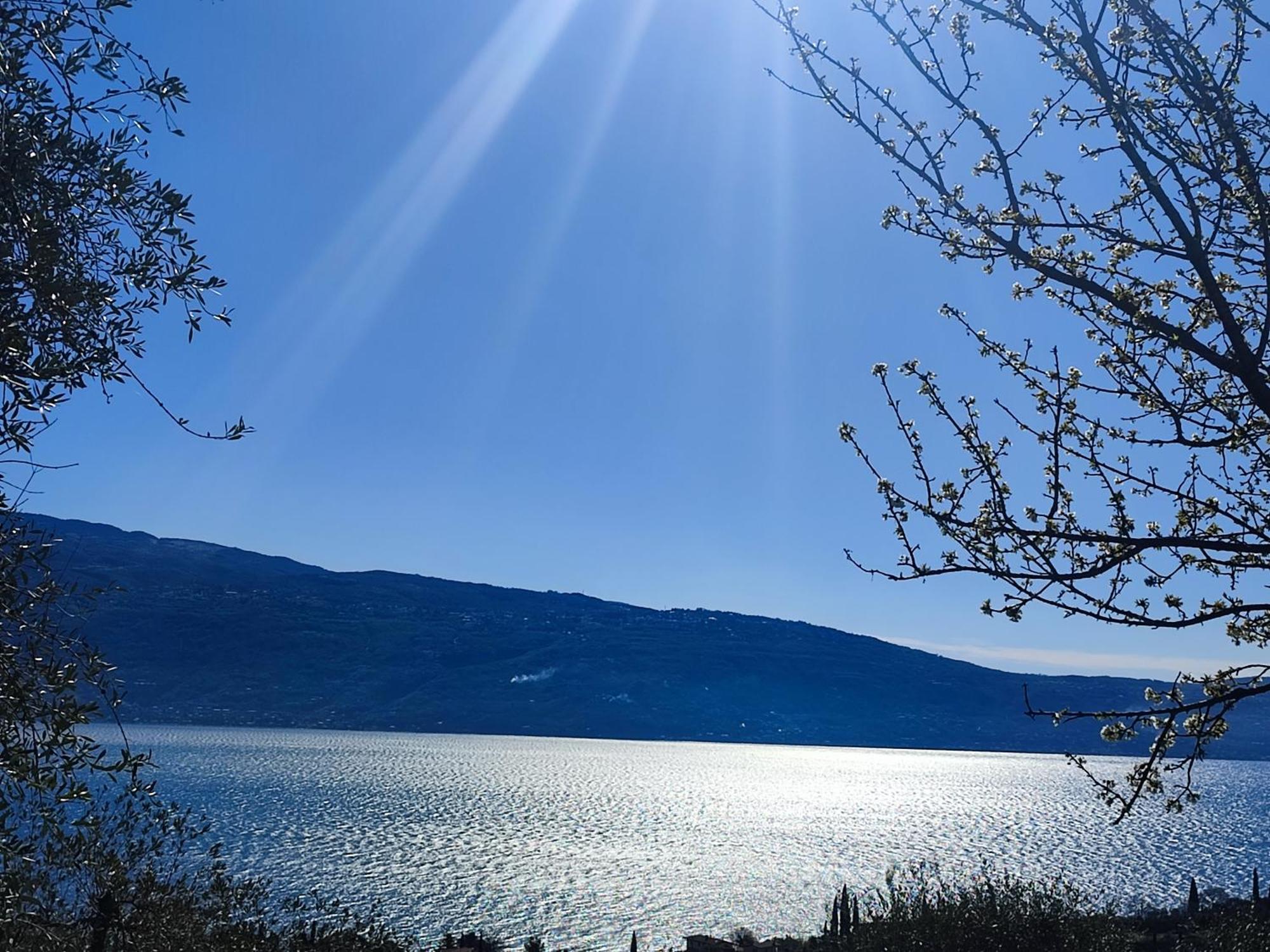 Agriturismo L'Uliveto 加尔尼亚诺 外观 照片
